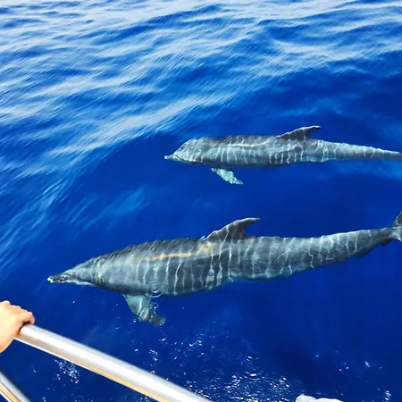 Costa Relax Playa de San Juan (Tenerife)