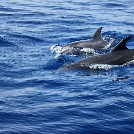 Costa Relax Appartamento