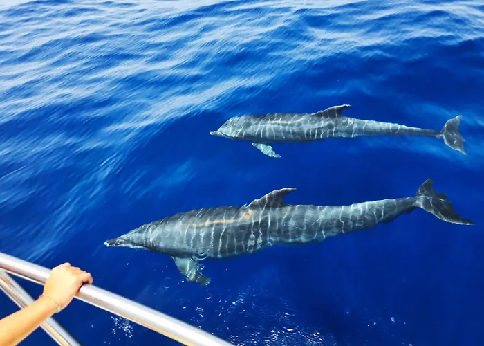 Costa Relax Плайя-де-Сан-Хуан