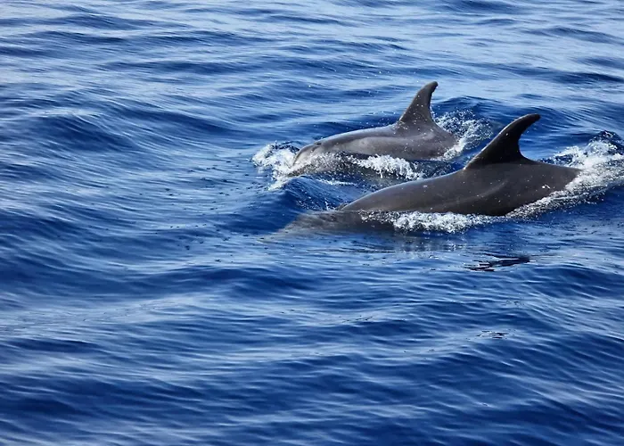 Costa Relax Апартаменты